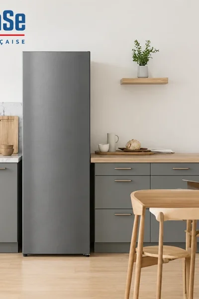 Congélateur Armoire 1 Porte Dark Inox Convertible en Réfrigérateur